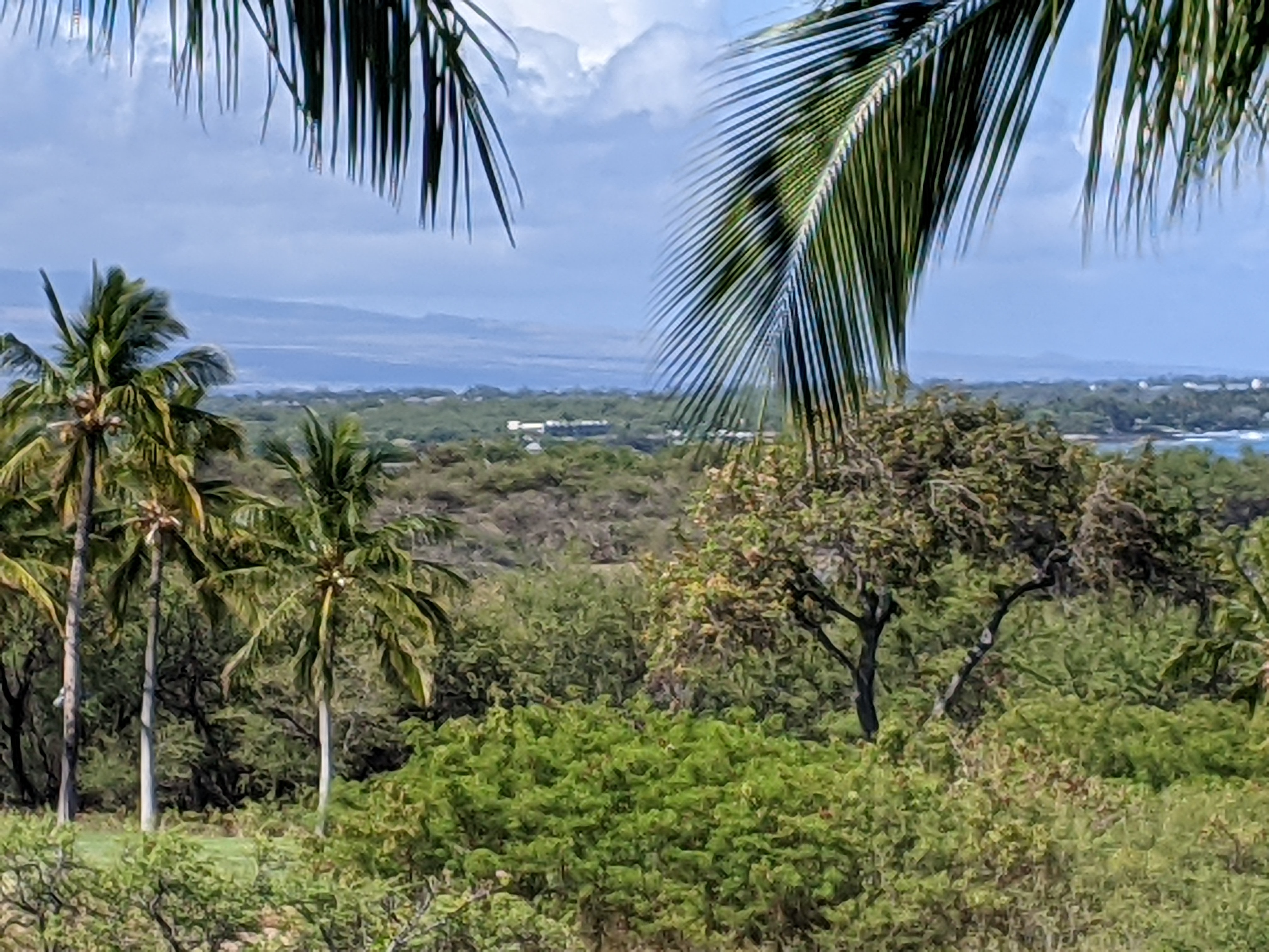 Fairmont Orchid Hotel